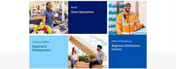 Lidl Job Aplication Choose